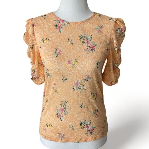 Sugarlips, Elodie, WHBM, Lucky Brand (Lot of 4) Summer Short Sleeve Tops (S) - Picture 14 of 16